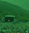 GREEN STAGE
