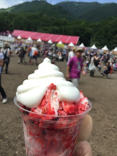 Foodie Rock Fest 2015: Berry Mix Kezuri