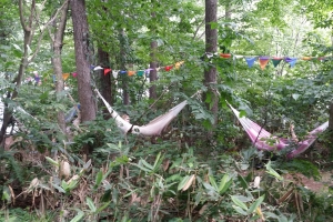 Afternoon nap in the trees
