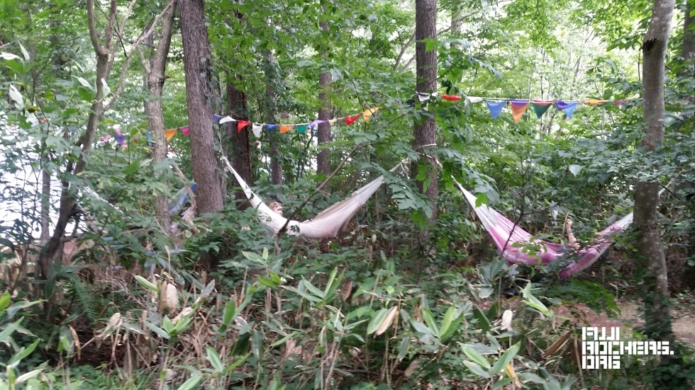 Afternoon nap in the trees