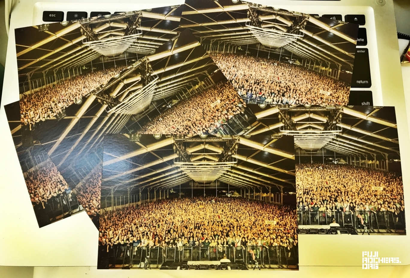 Fuji Rock 2017 Postcards Now Available
