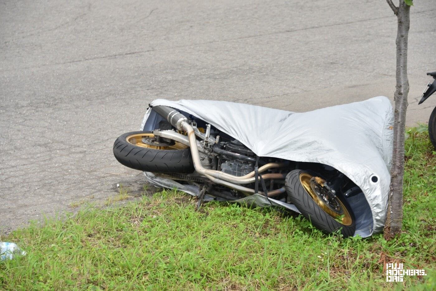 2日目入場ゲート前からグリーンの様子