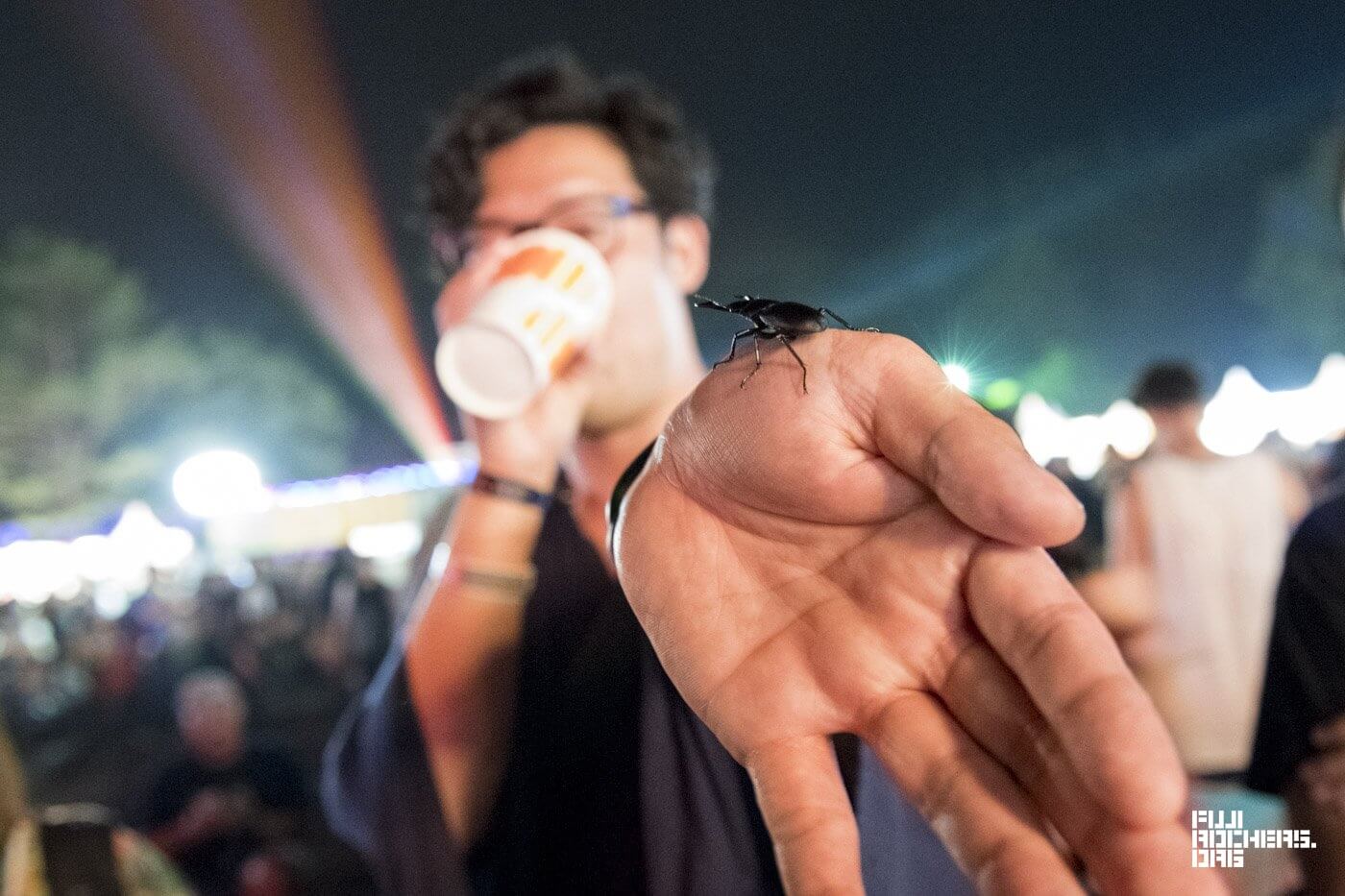 花火を見たクワガタ