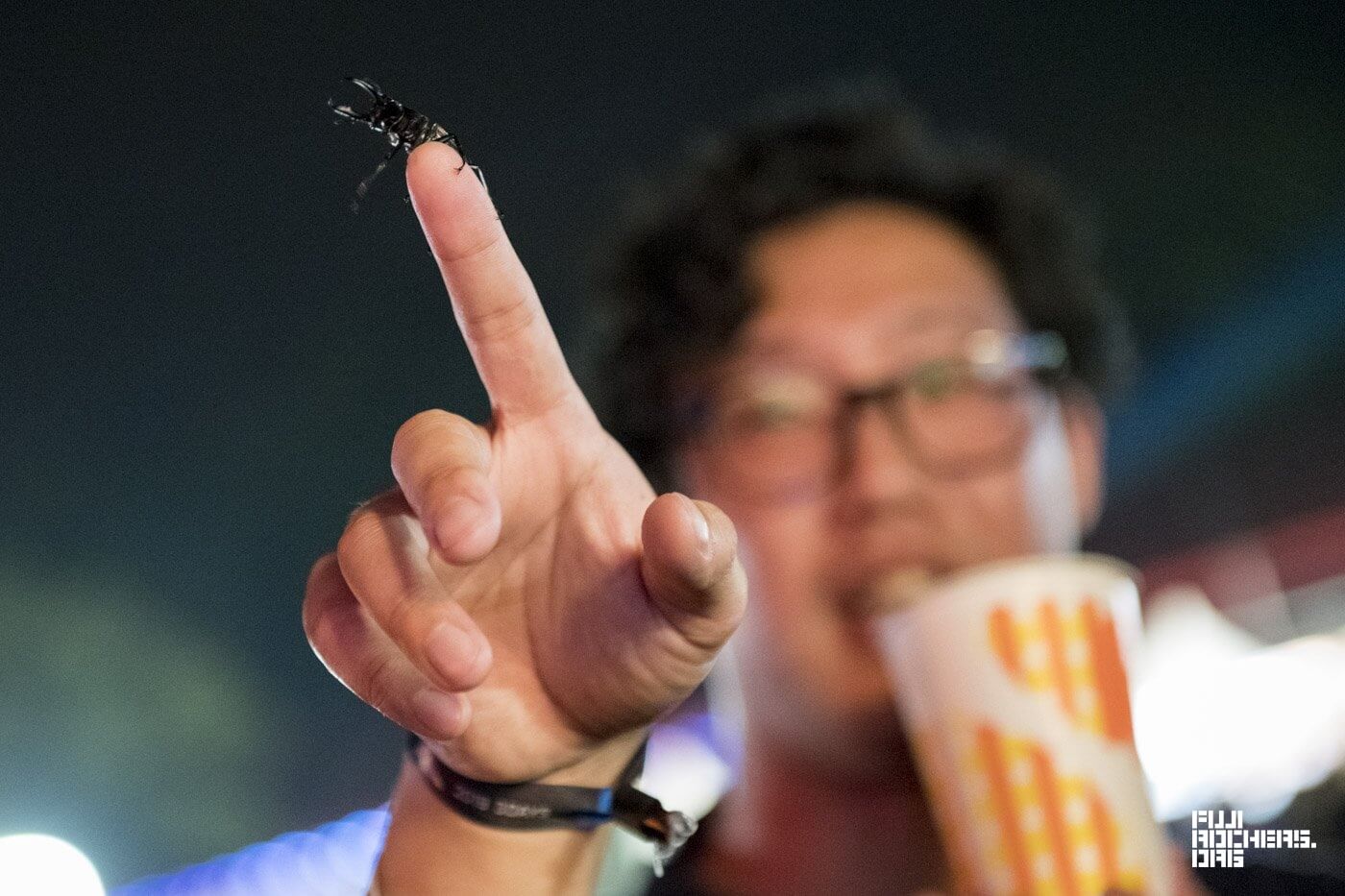 花火を見たクワガタ