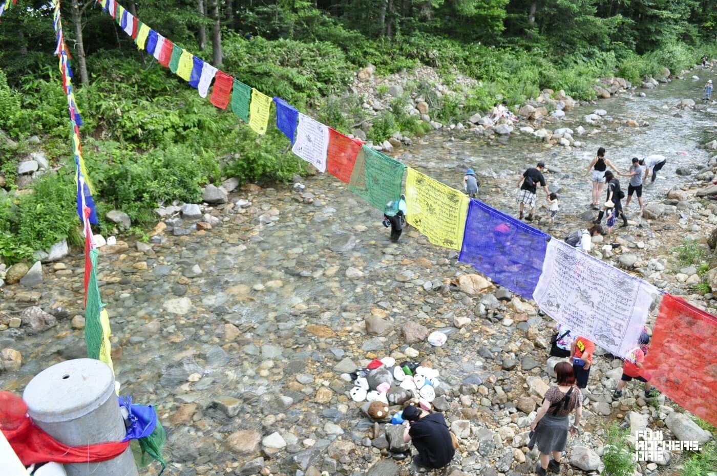 土曜午後のゴンちゃんたち