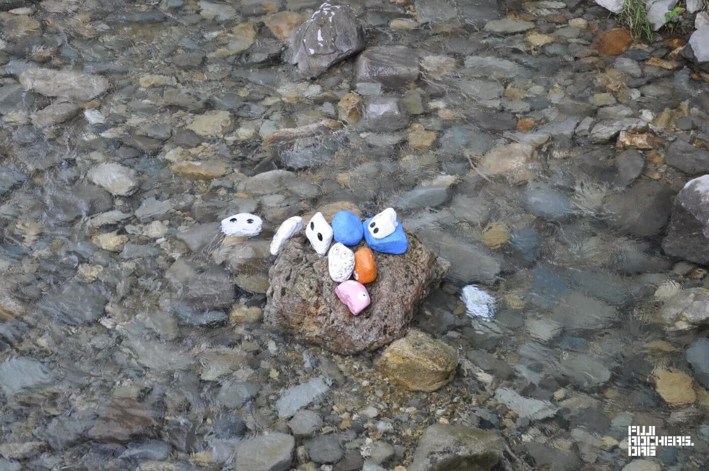 土曜午後のゴンちゃんたち