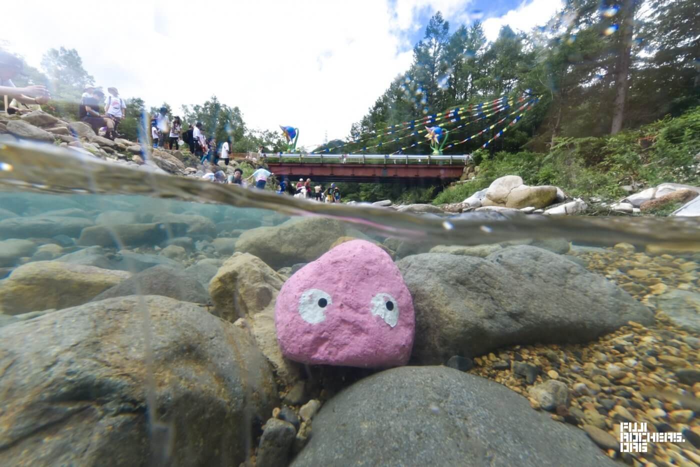 水中のゴンちゃんってどんな顔?