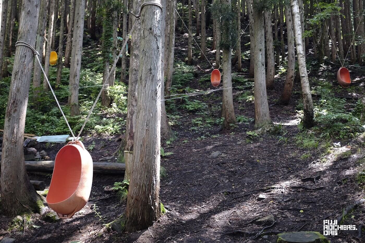 キッズランドには野に咲く花