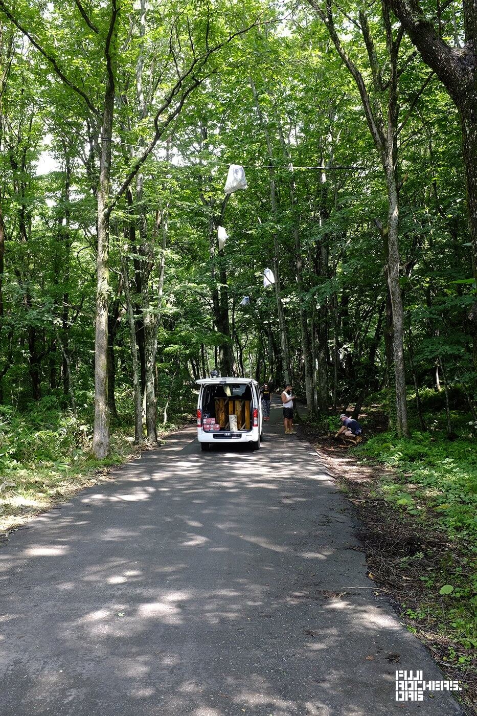 アートのサナギ