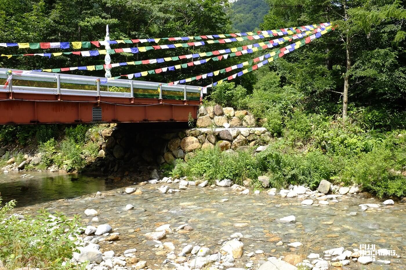 ゴンちゃんの里帰りは未だ。