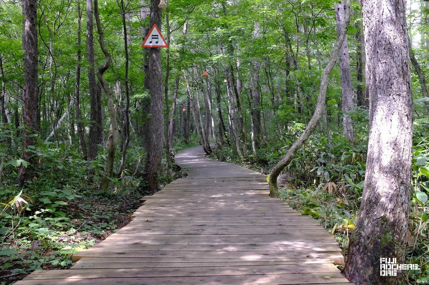 アートのサナギ