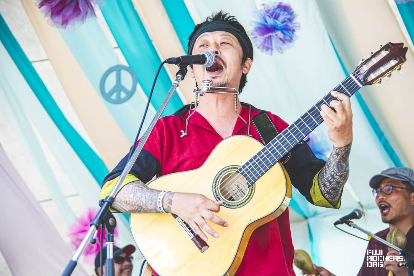 ALKDO （Turtle Island Acoustic）