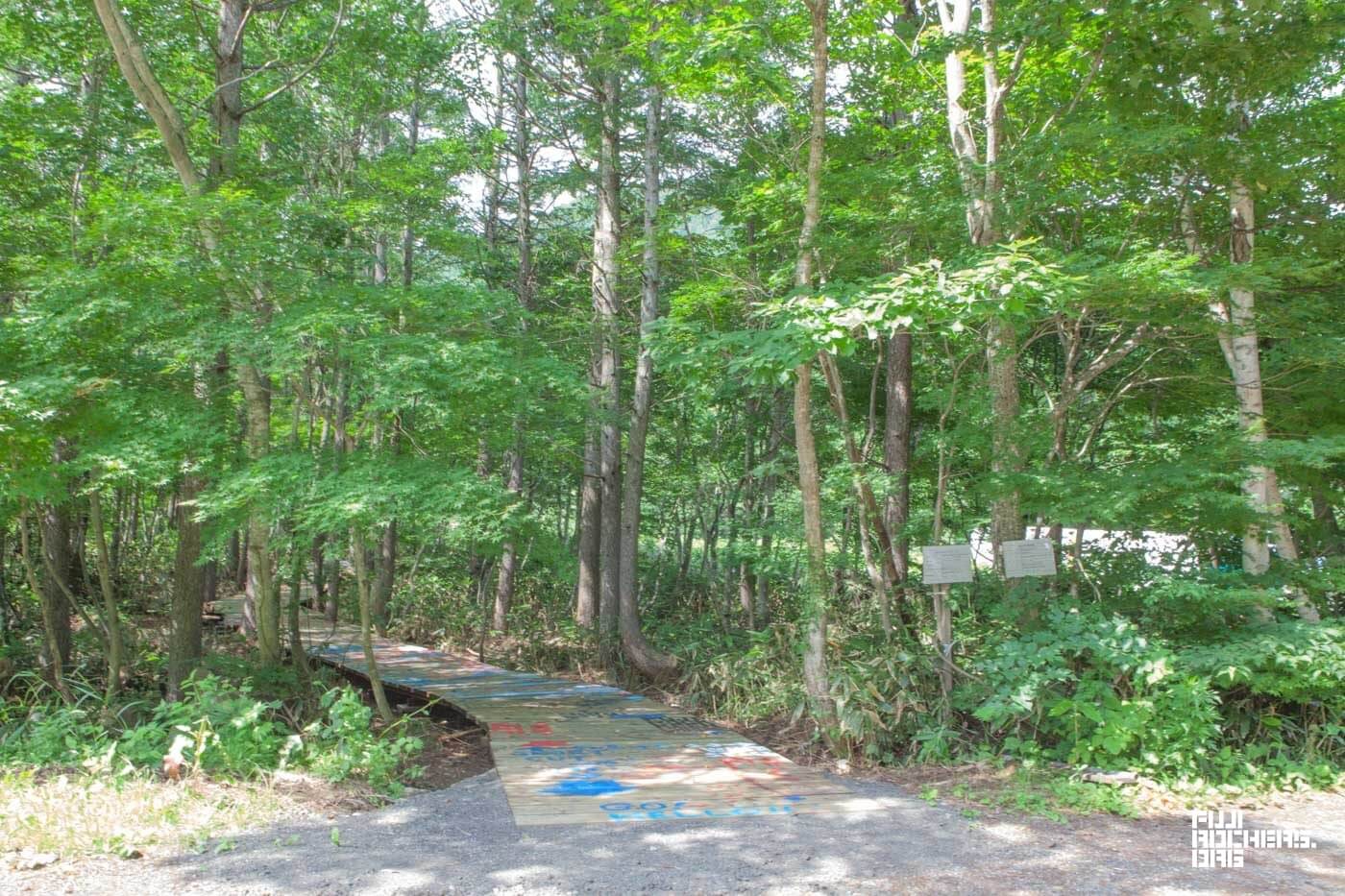 ホワイトステージからグリーンステージへ、新たなボードウォークできました。