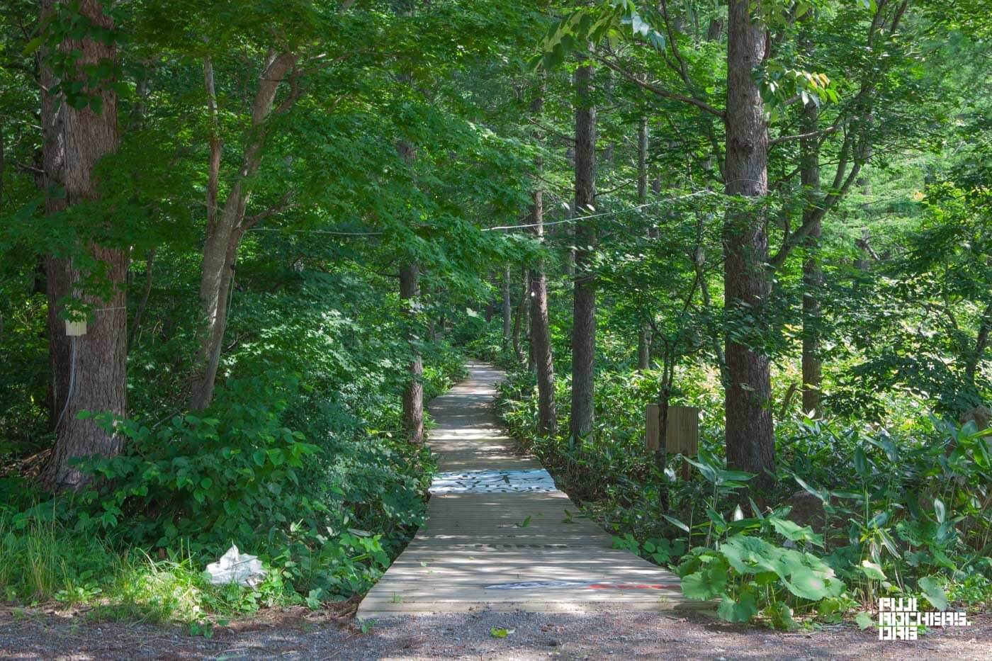 ホワイトステージからグリーンステージへ、新たなボードウォークできました。