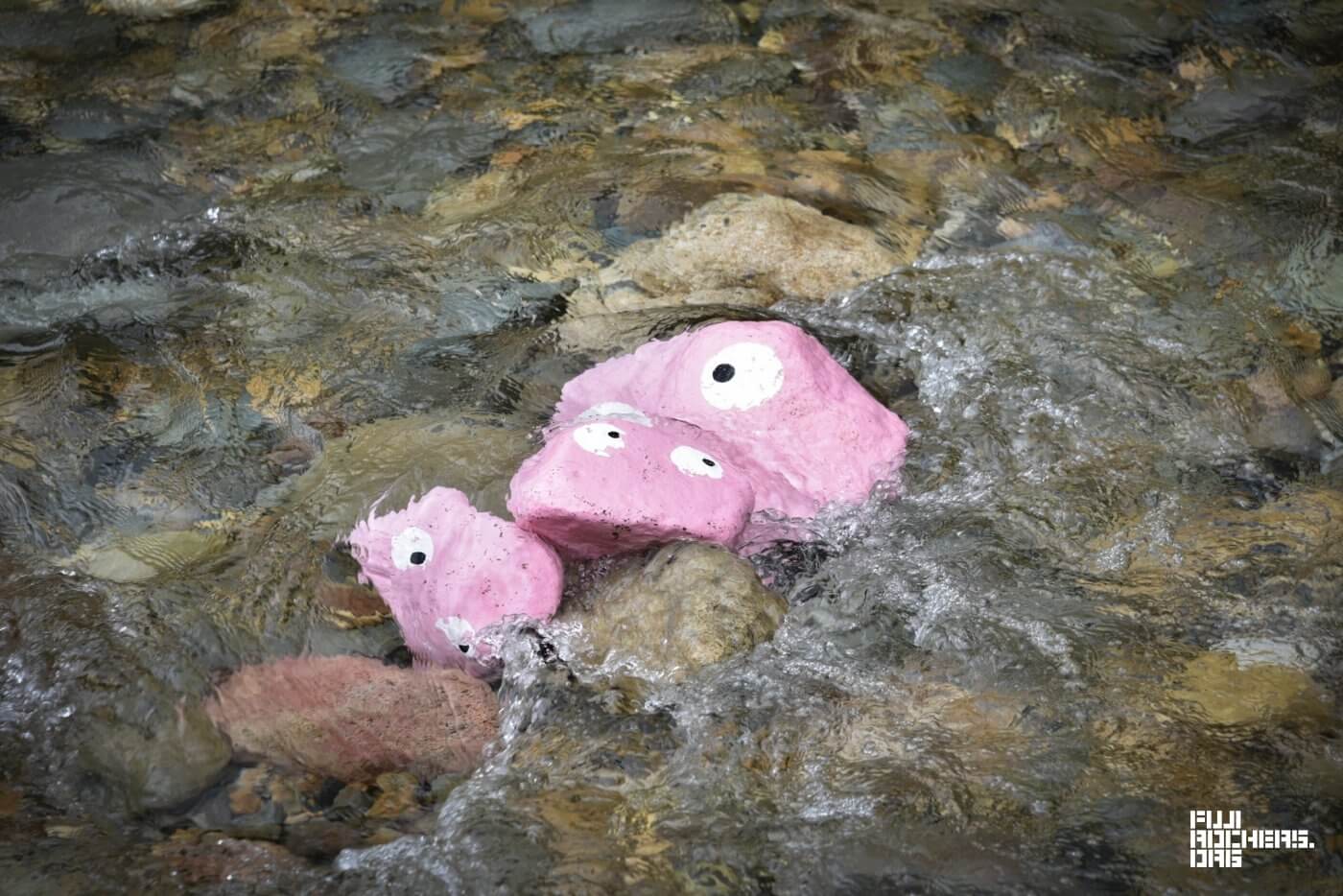 水中のゴンちゃんってどんな顔?