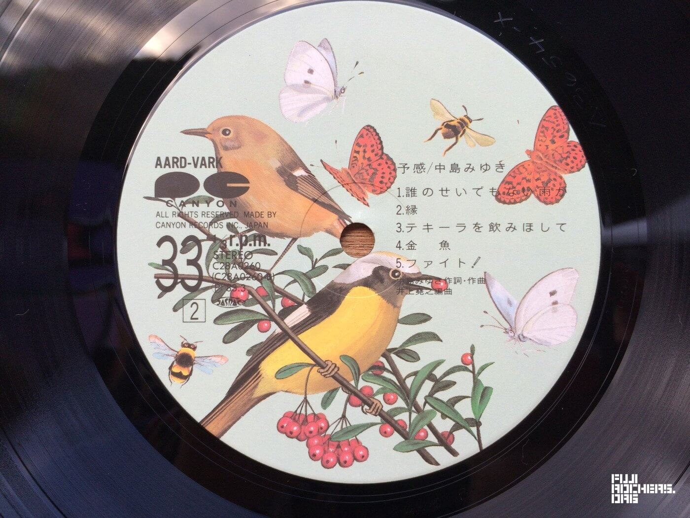 何やら奥地がアナログ祭り!?