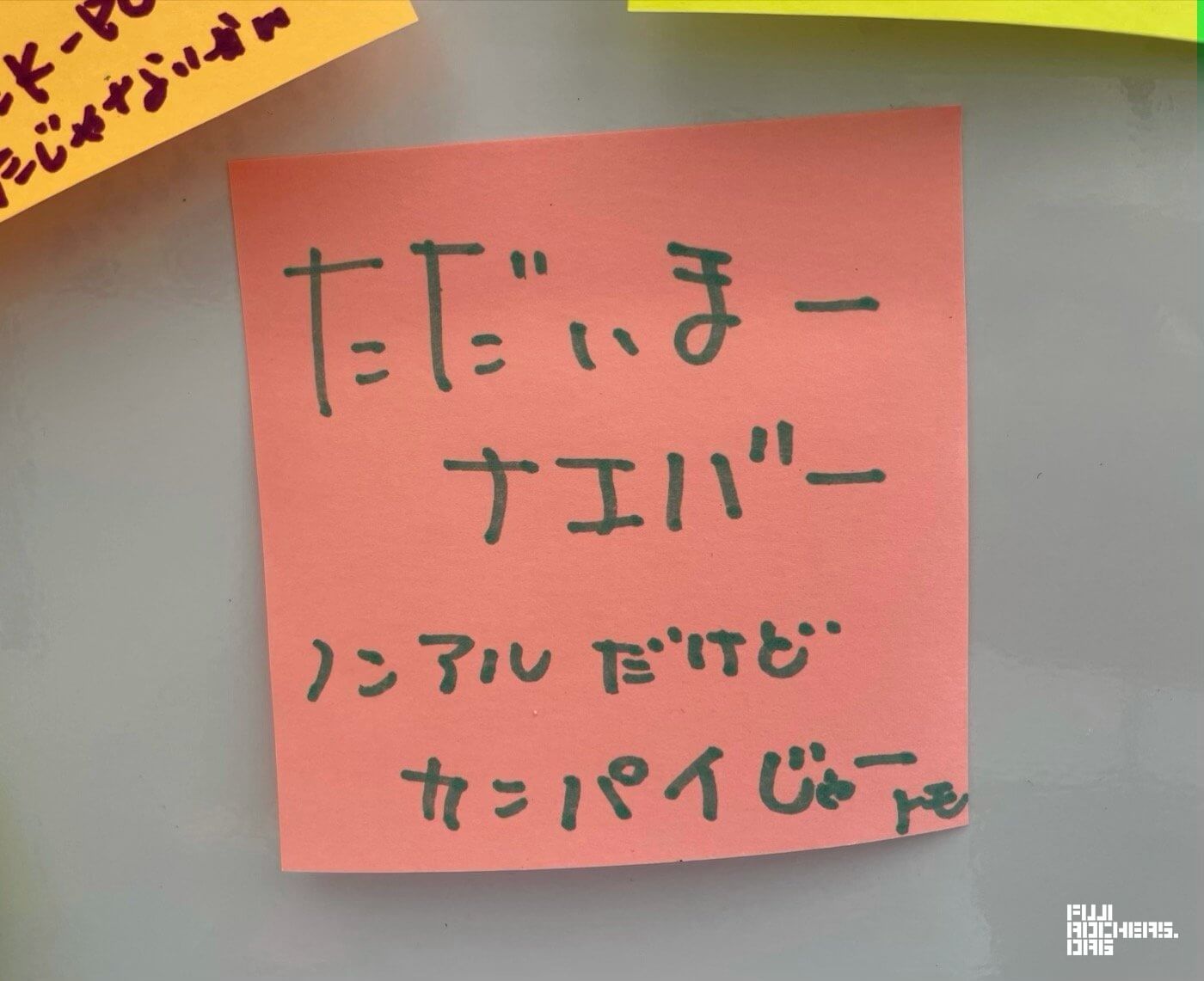 Message for FUJI ROCK #03
