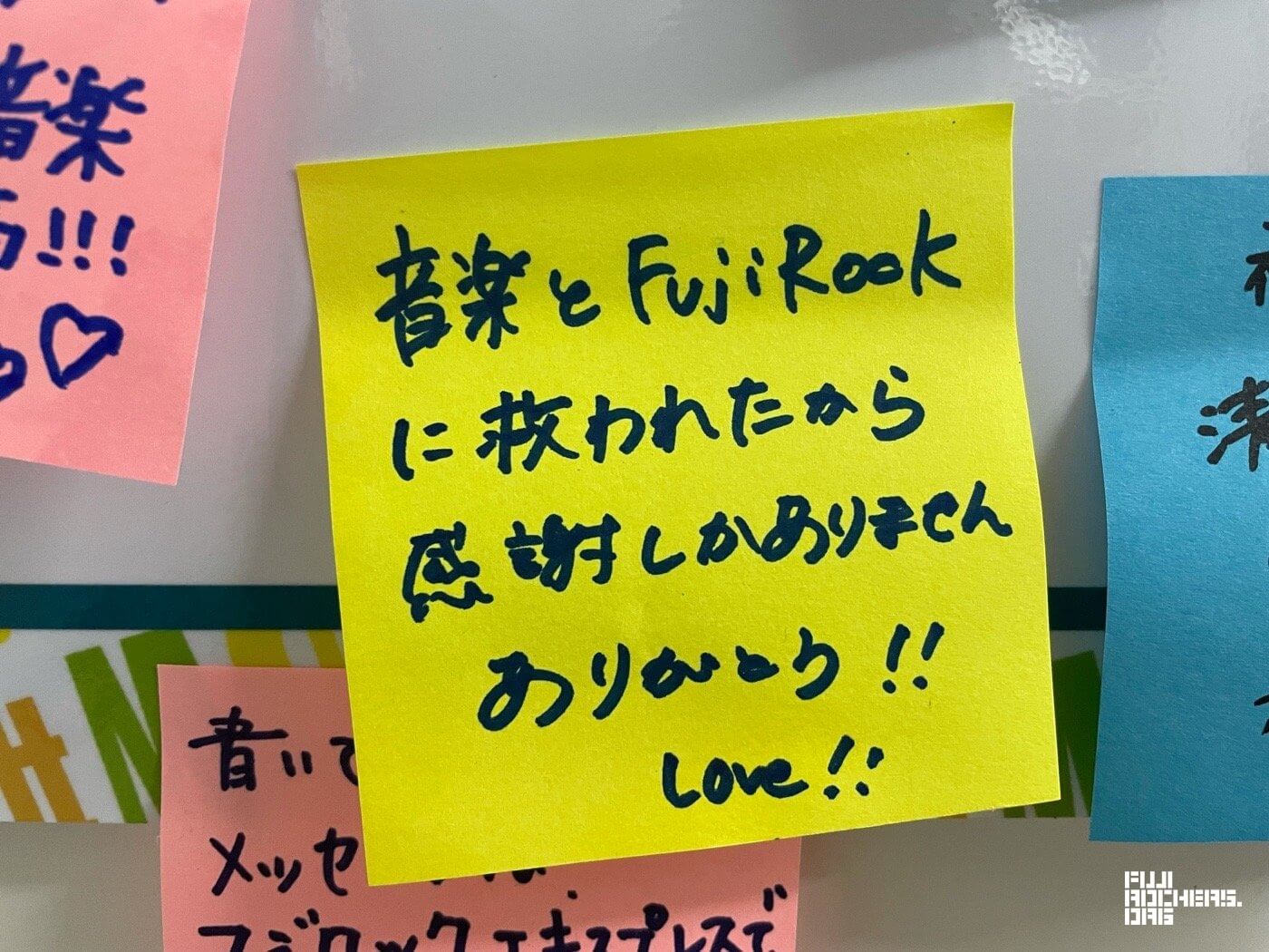Message for FUJI ROCK #16