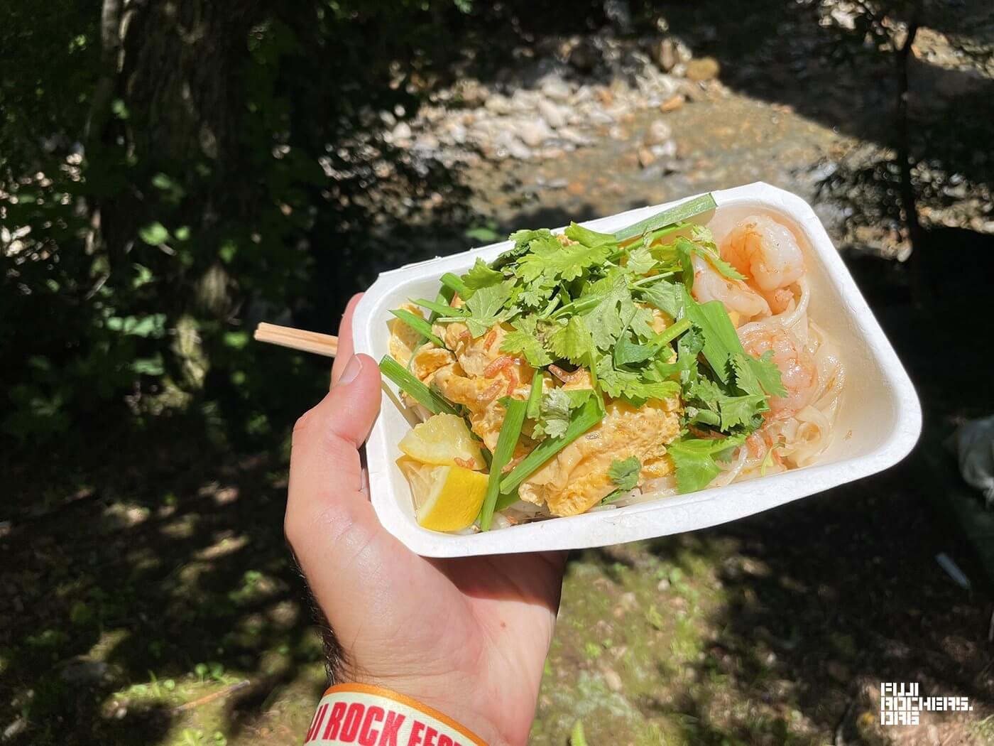 Thai Yakisoba Noodles Hit the Spot