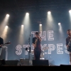 THE STRYPES