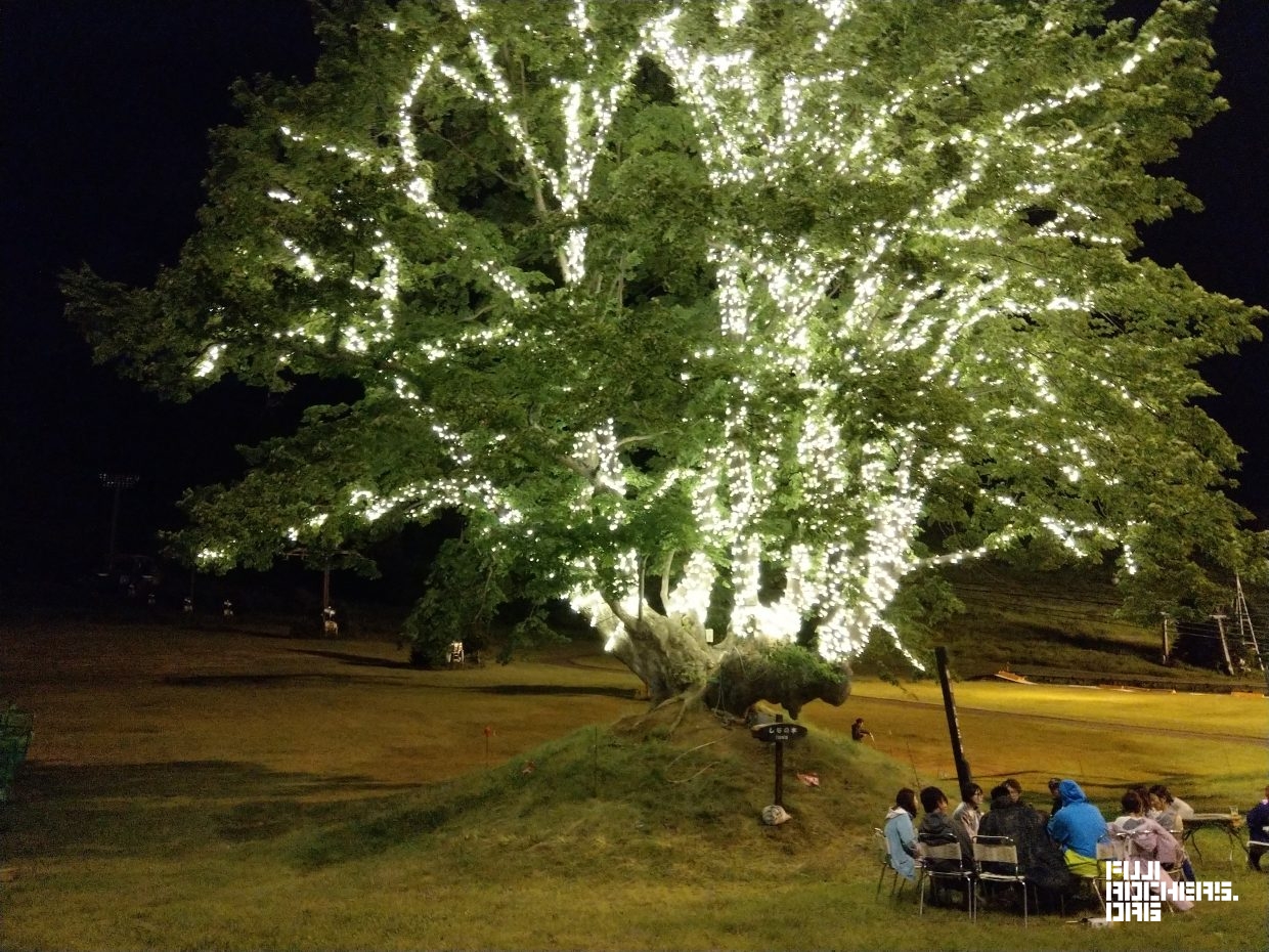 A fine night for being outdoors