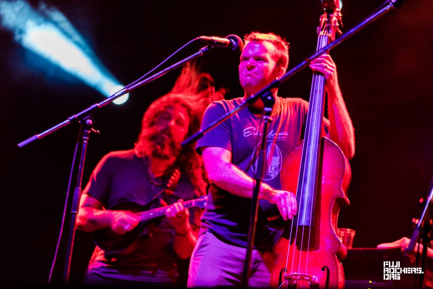 GREENSKY BLUEGRASS