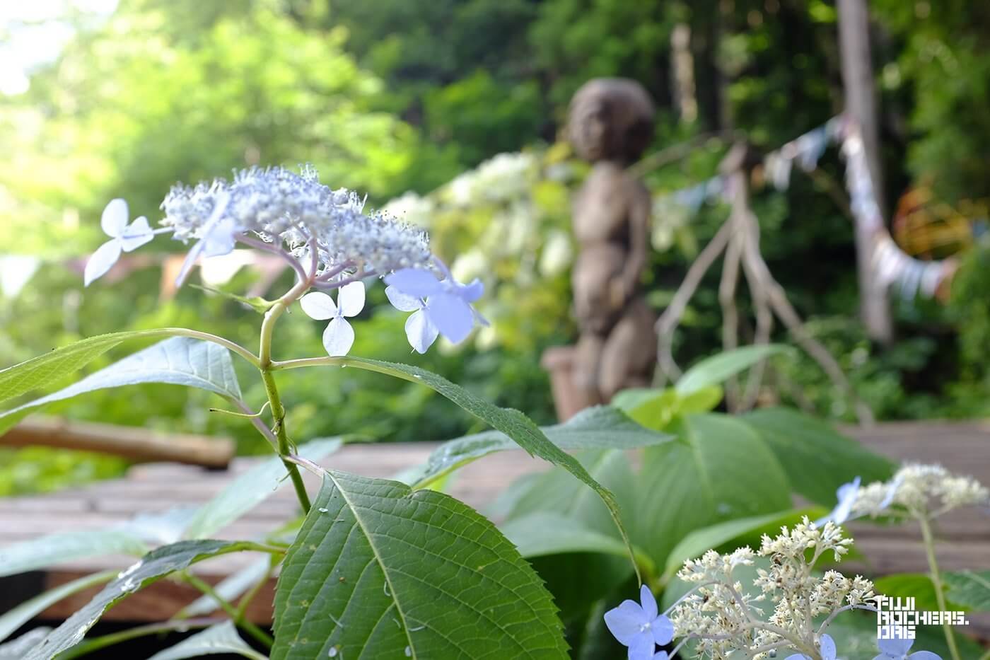 キッズランドには野に咲く花