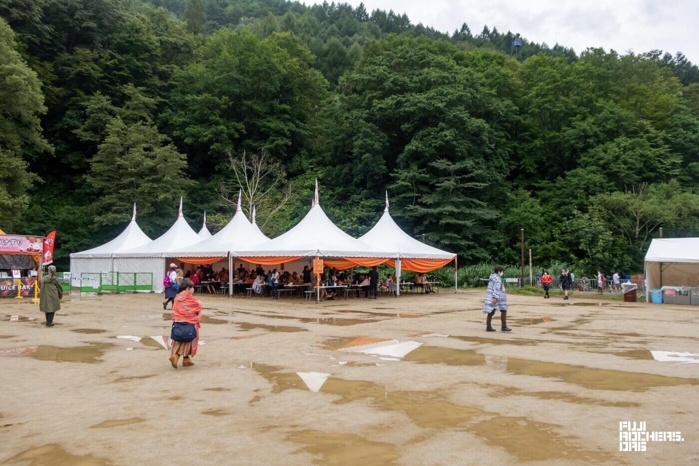 雨の後は