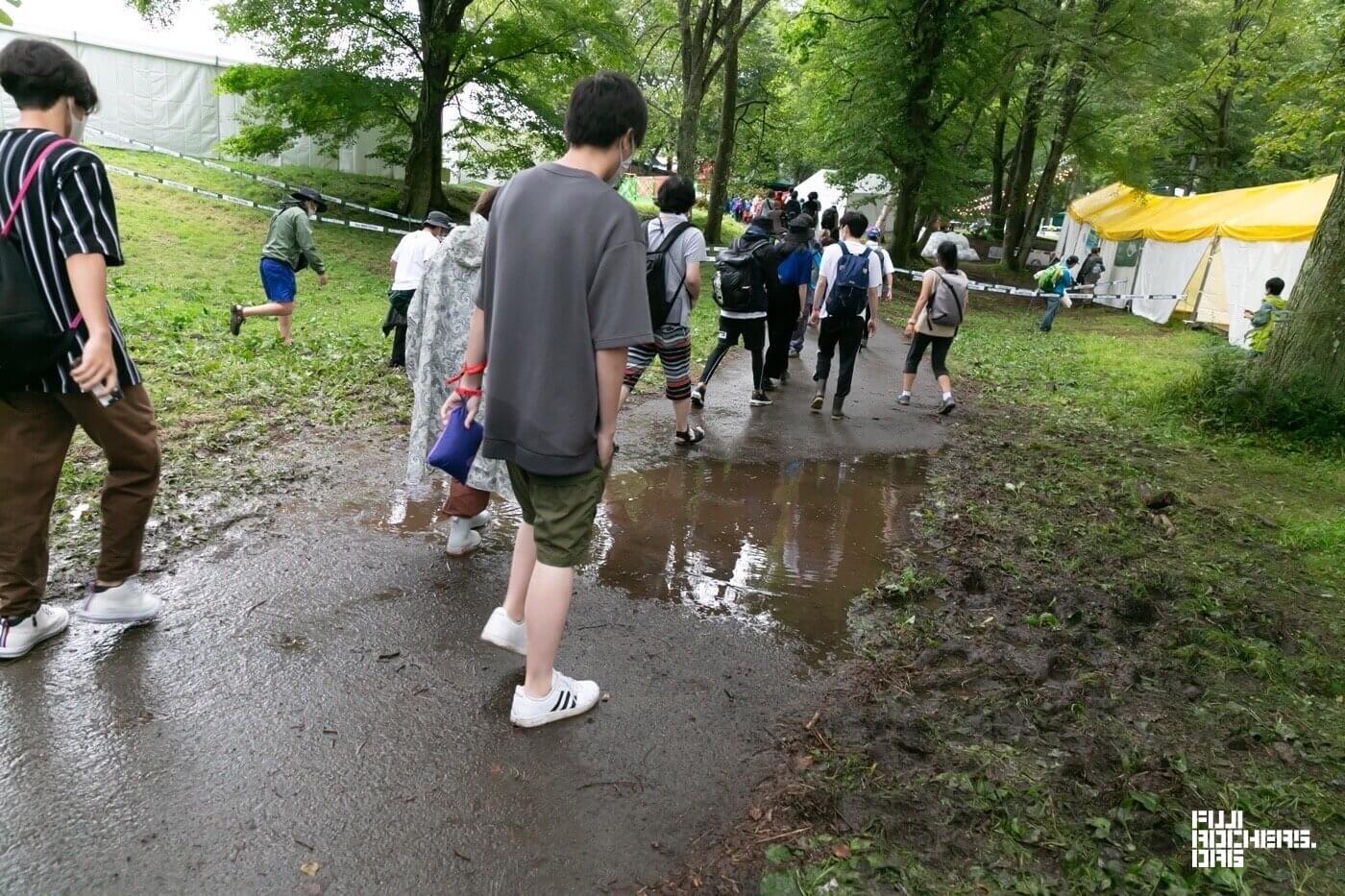 雨の後は