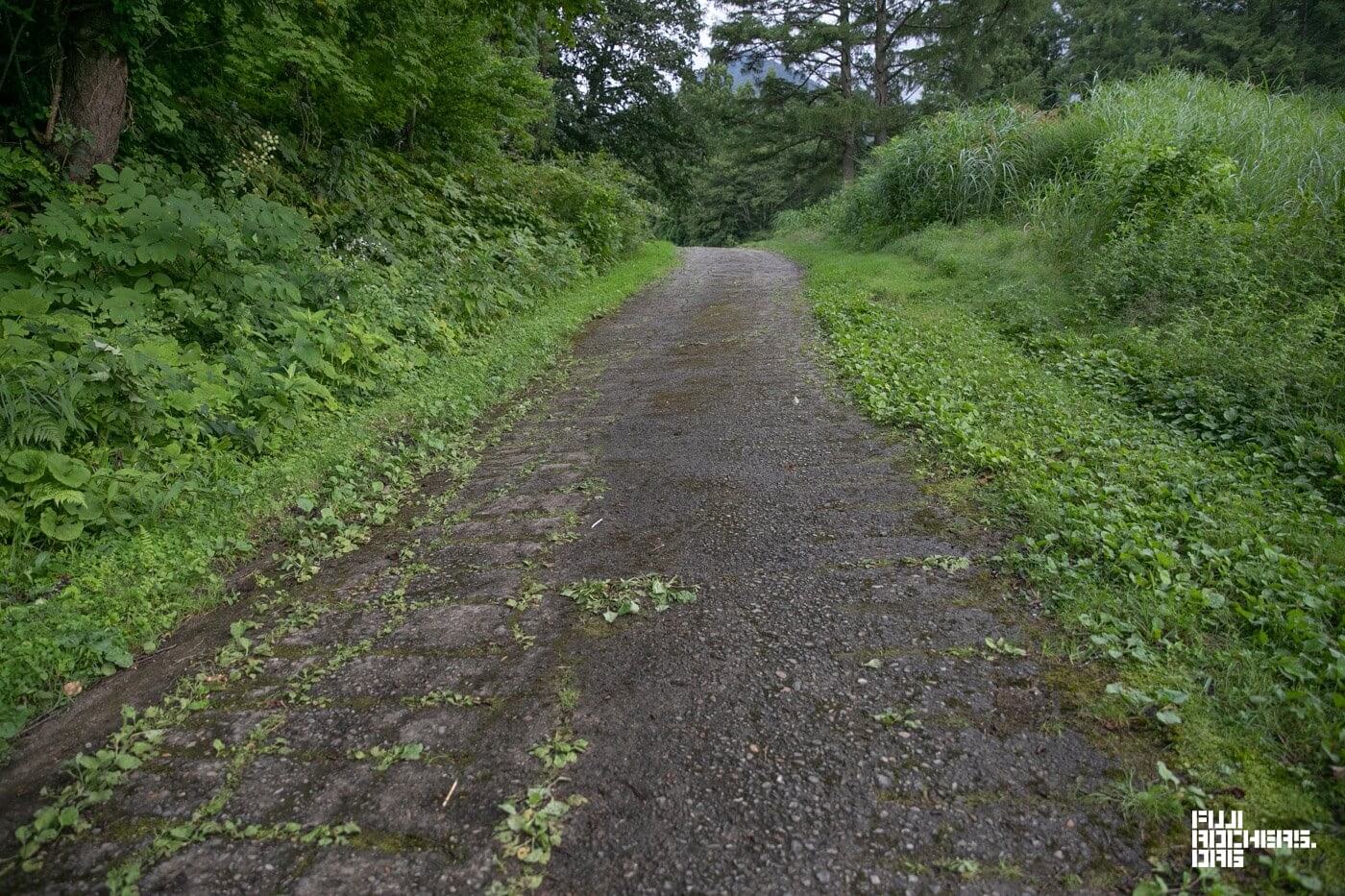 MOON CARAVANって、行ったことありますか？