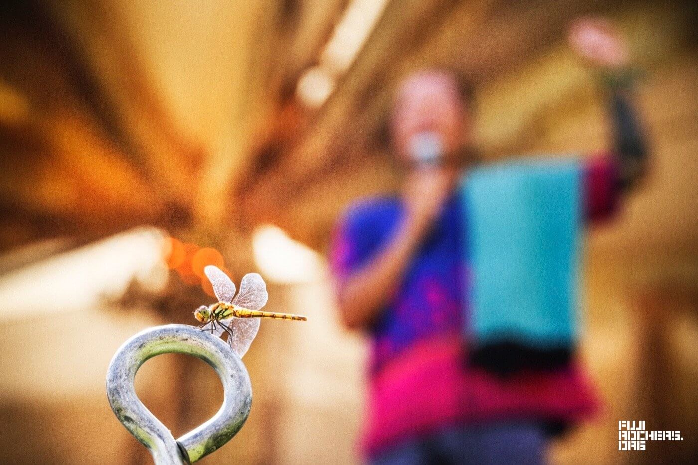 LOVE FOR NIPPON (Kenichiro Tanimoto, Katori Senkou & Toshimi Watanabe)