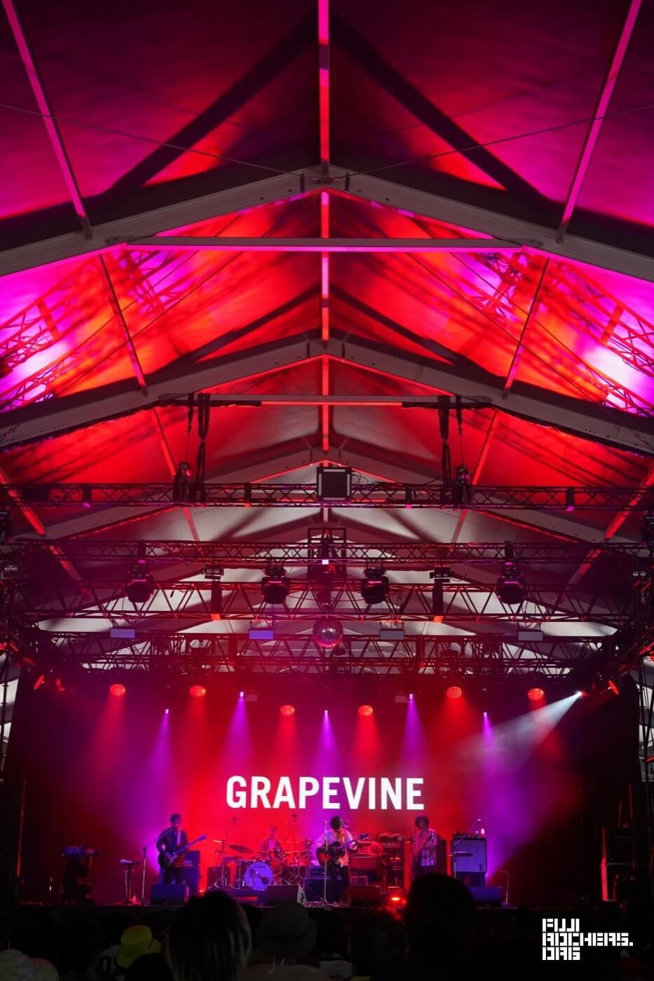 GRAPEVINE