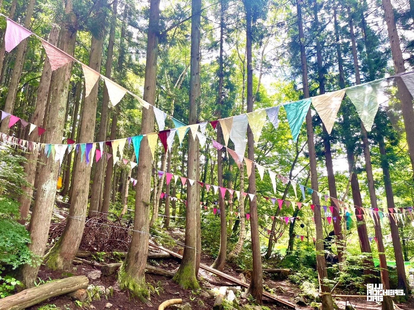 晴れても涼しいキッズの森