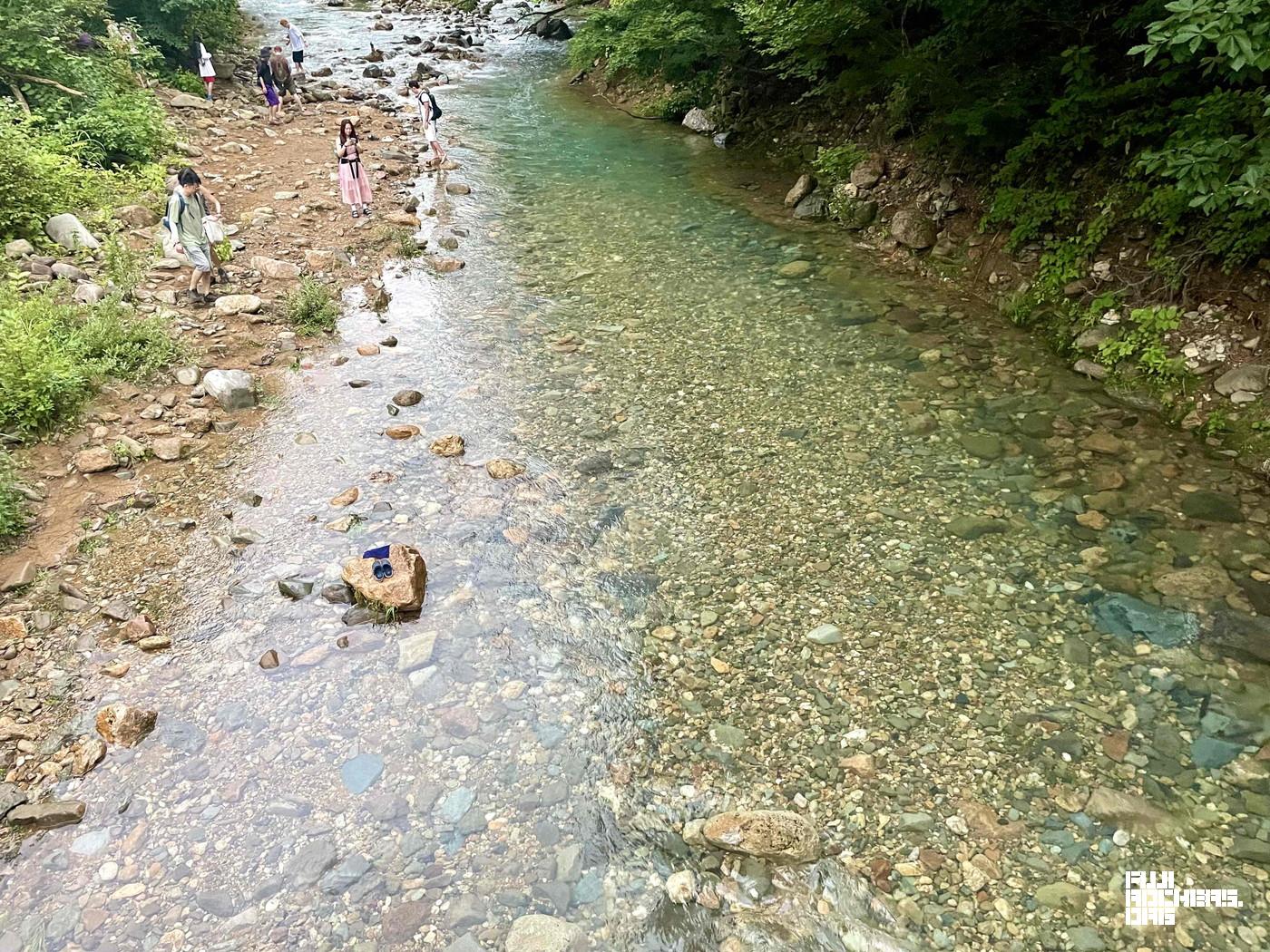 旅立っていったゴンちゃん