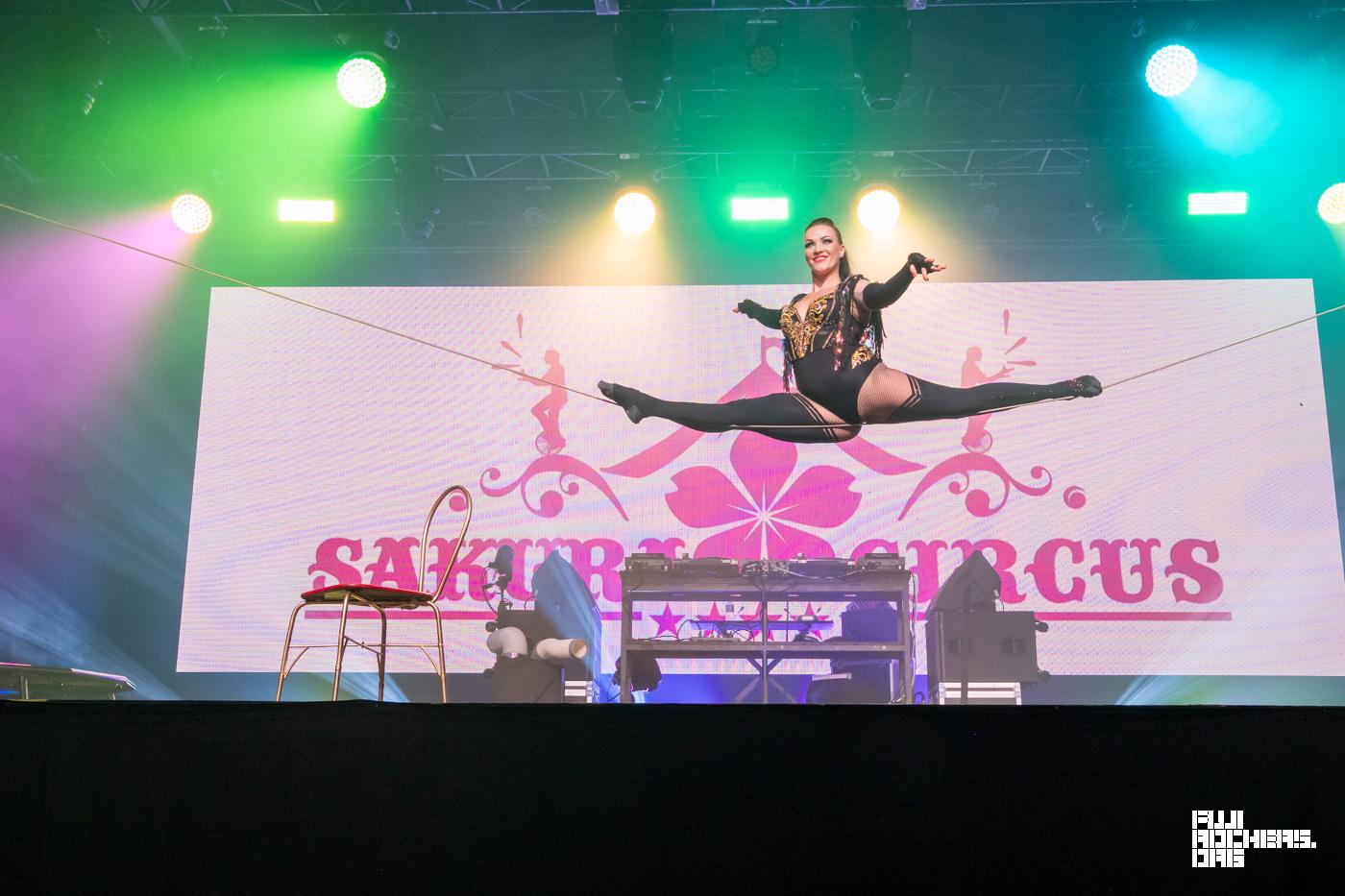 SAKURA CIRCUS