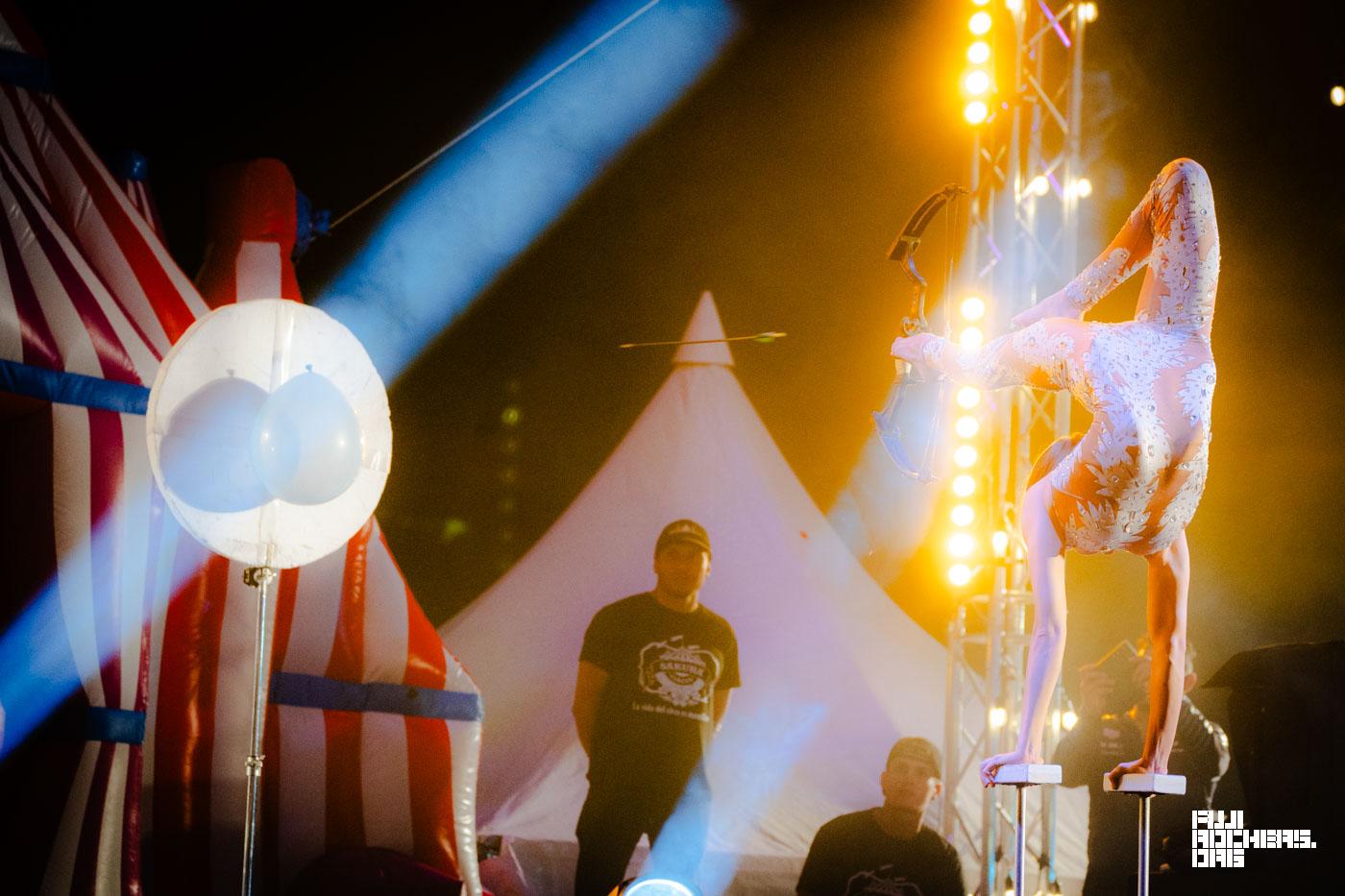 SAKURA CIRCUS