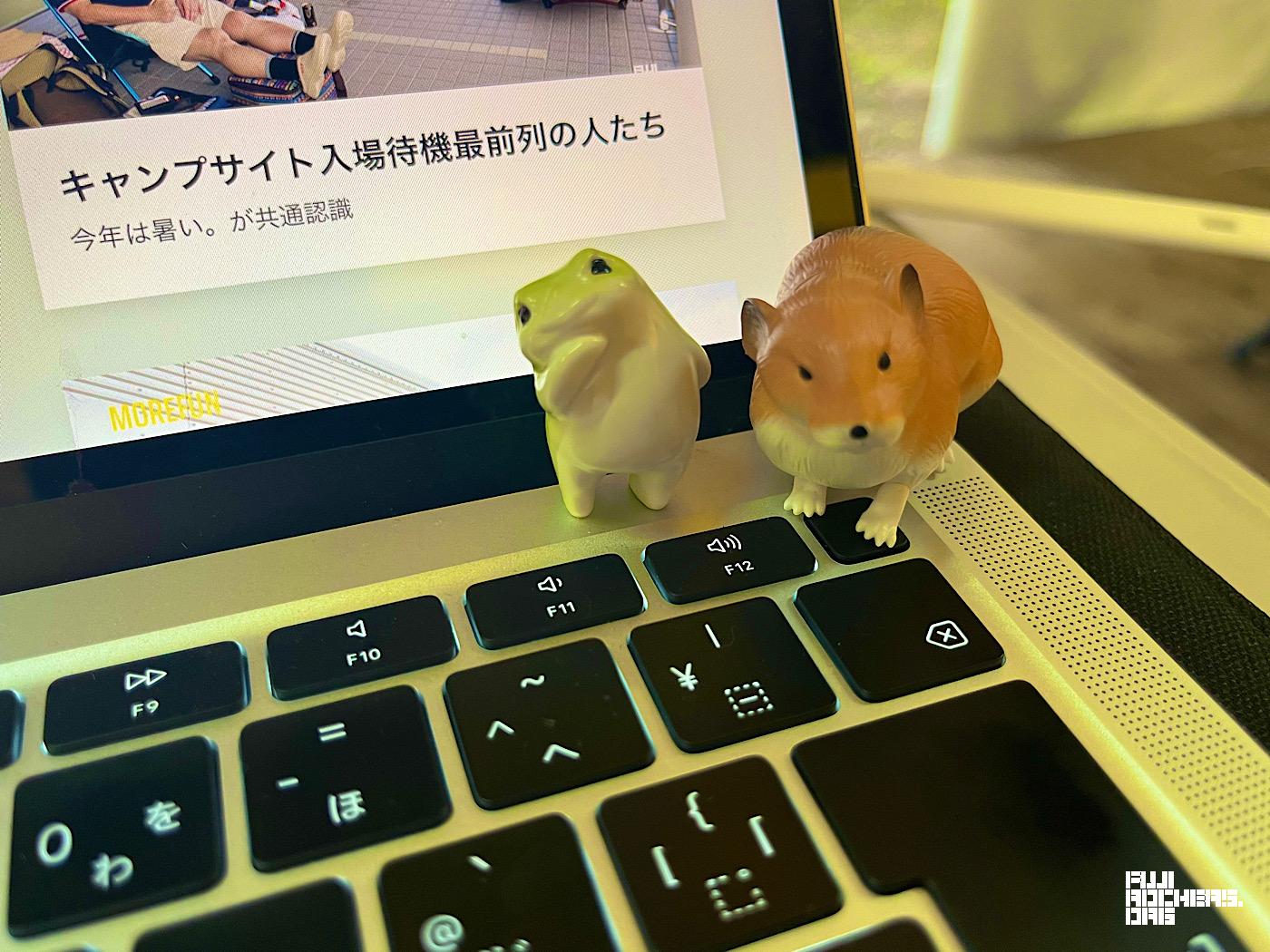 苗プリガチャガチャ散策