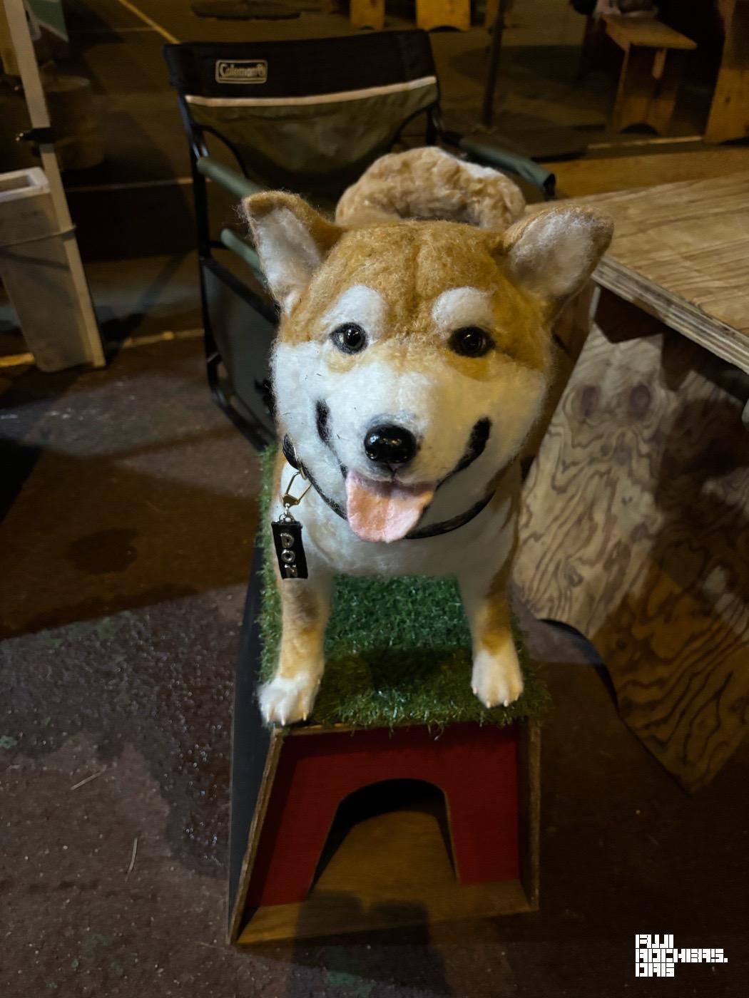 見つけてしまった、私のオアシス