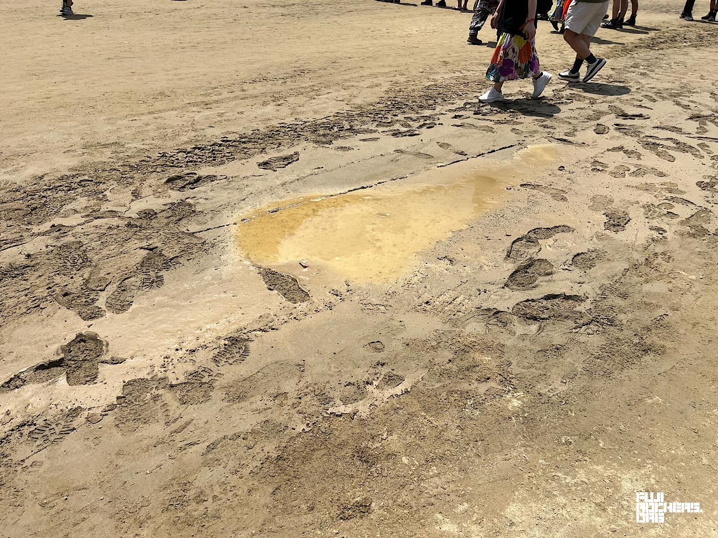 オレンジエコーの地面、(ほぼ)復活しています！
