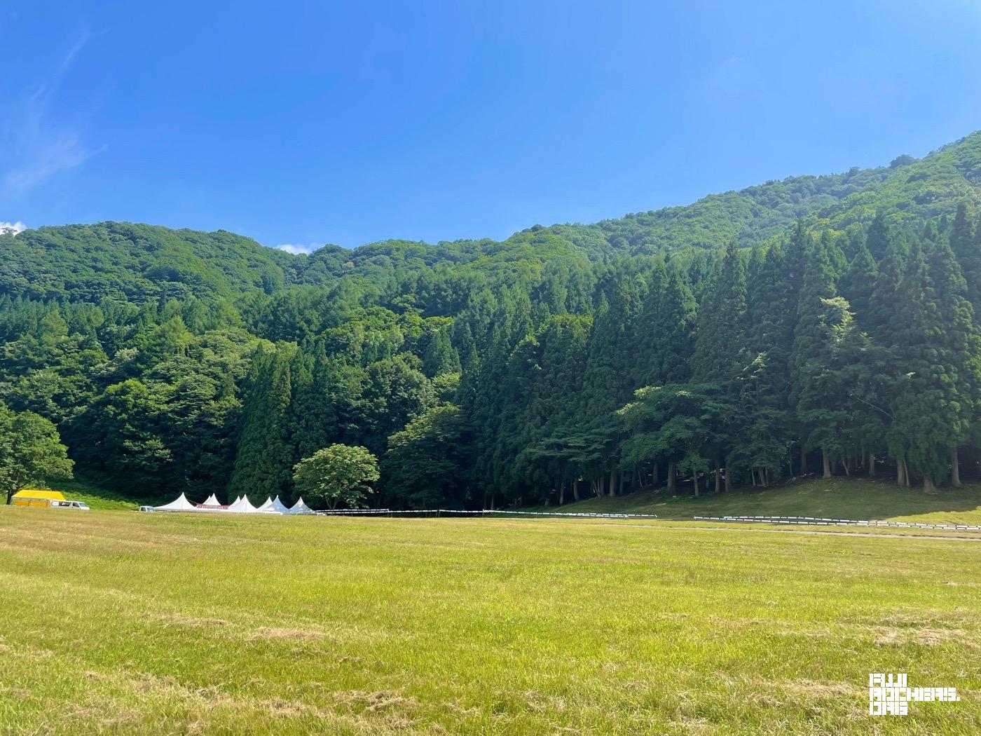 土曜の夜、抹茶ヴァイブスで臨む皆さまへ