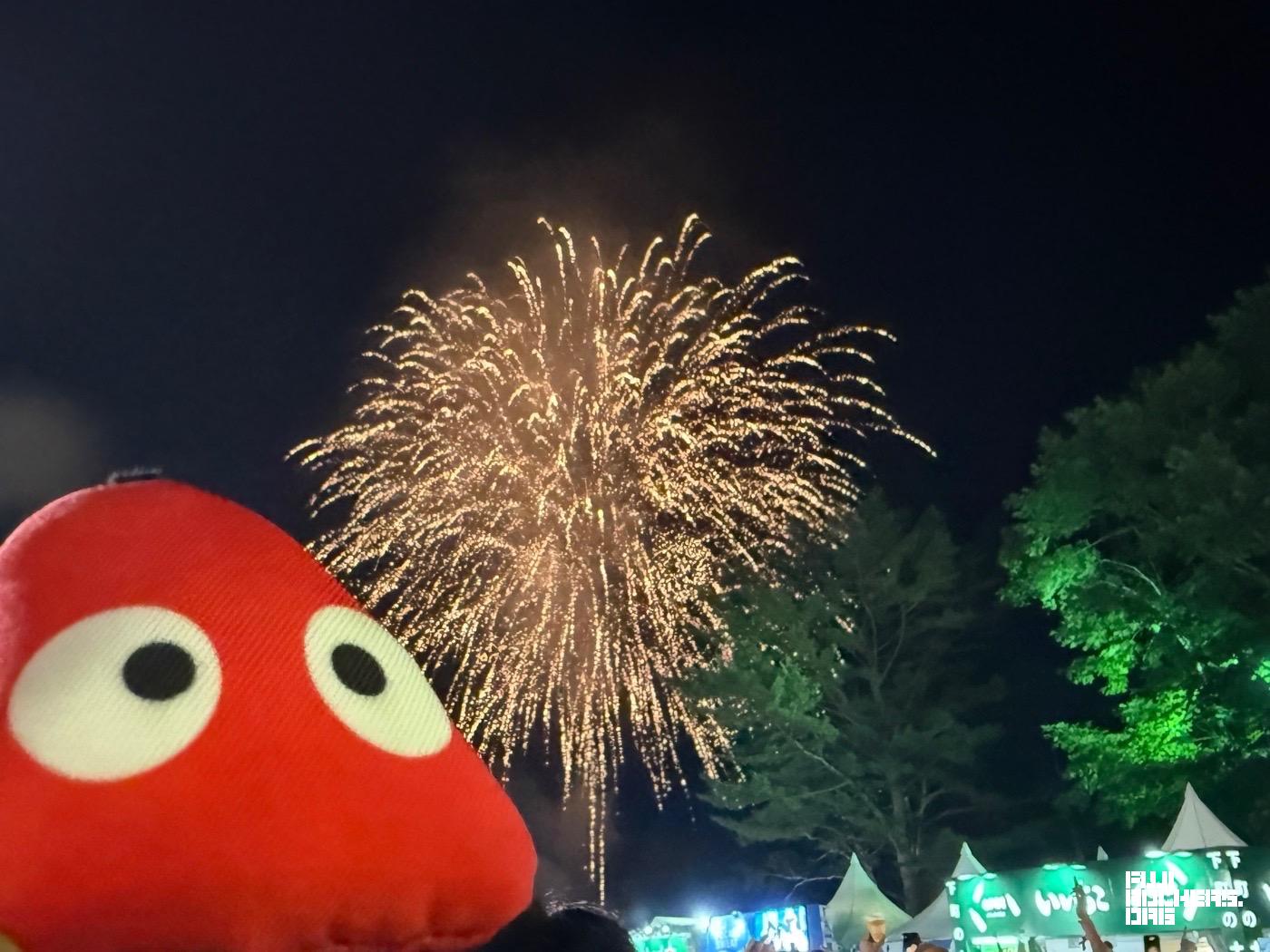 ゴンちゃん花火を眺める