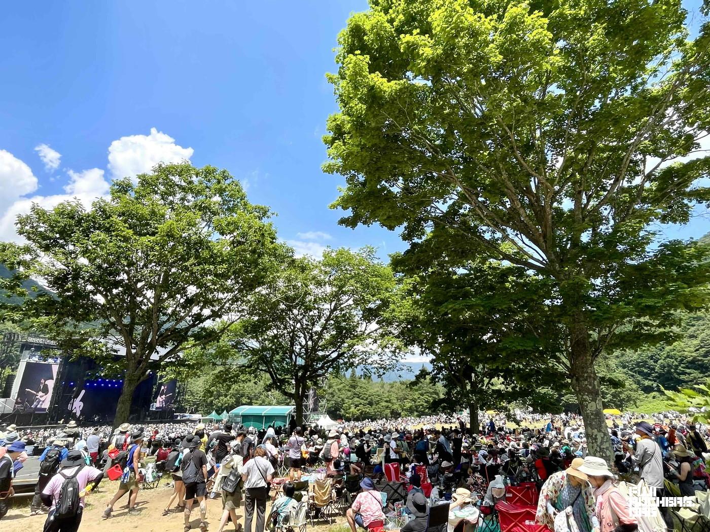 晴れた日は木陰から埋まっていくスタイル