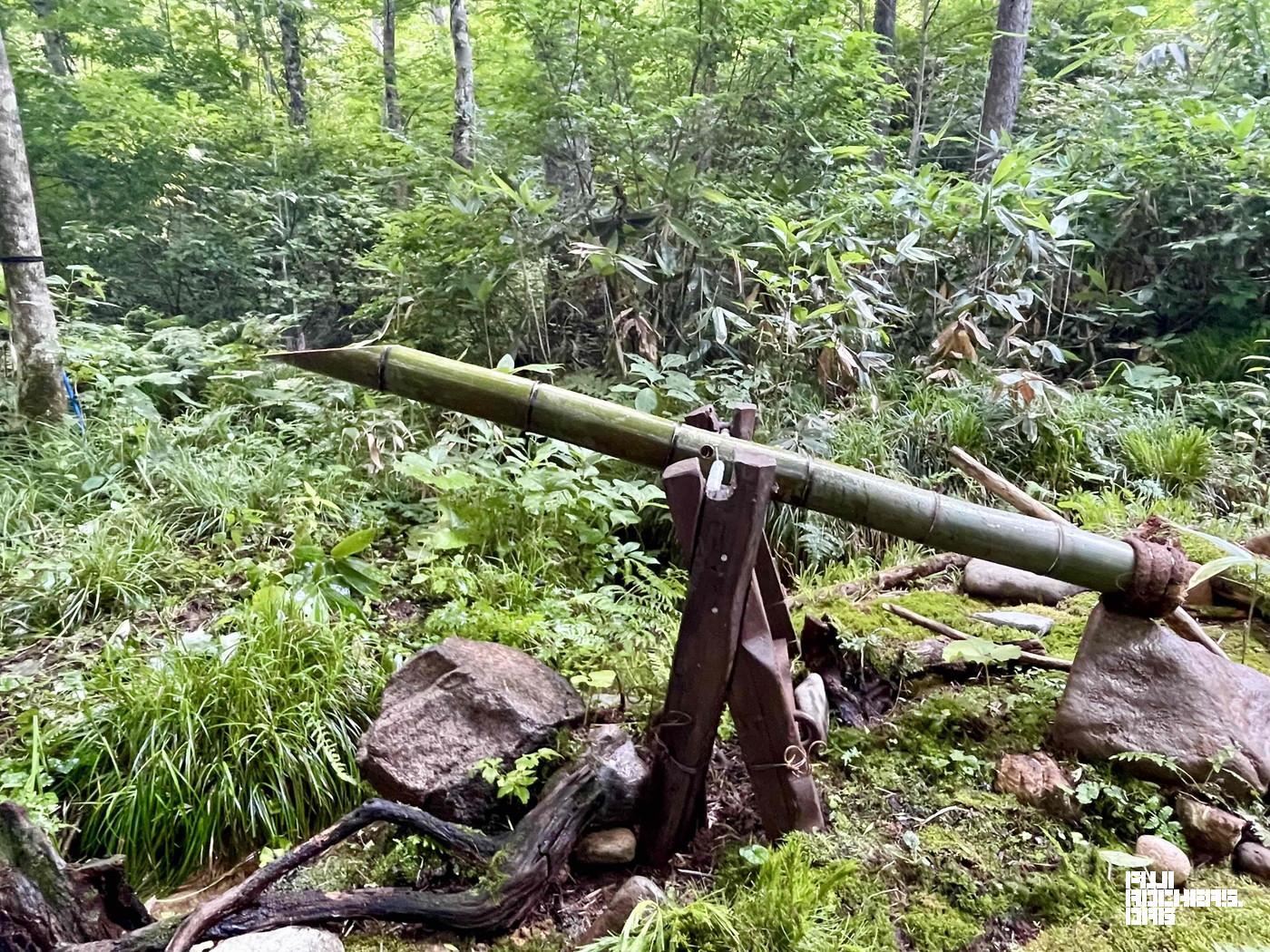 アヴァロンにある和の風情