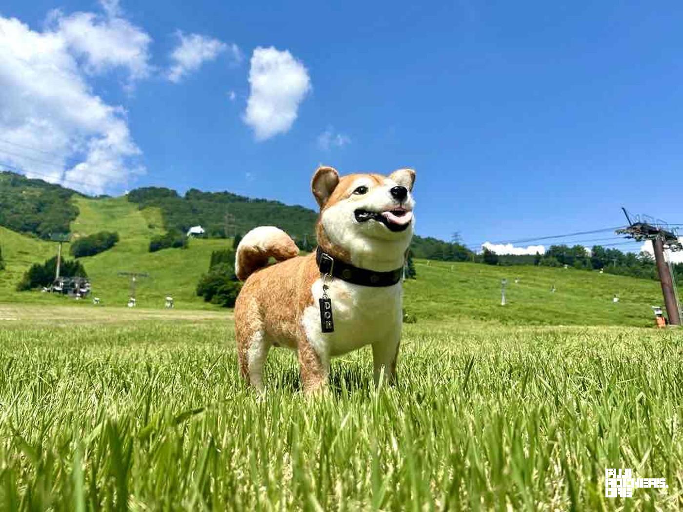 どん吉！！！