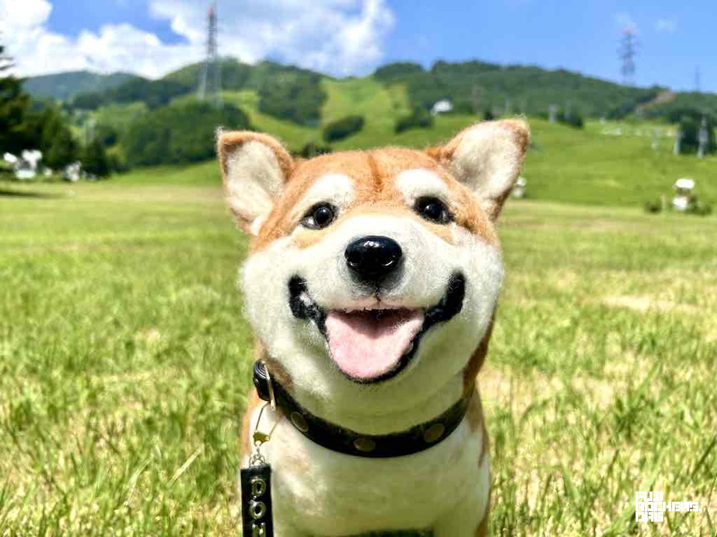どん吉！！！