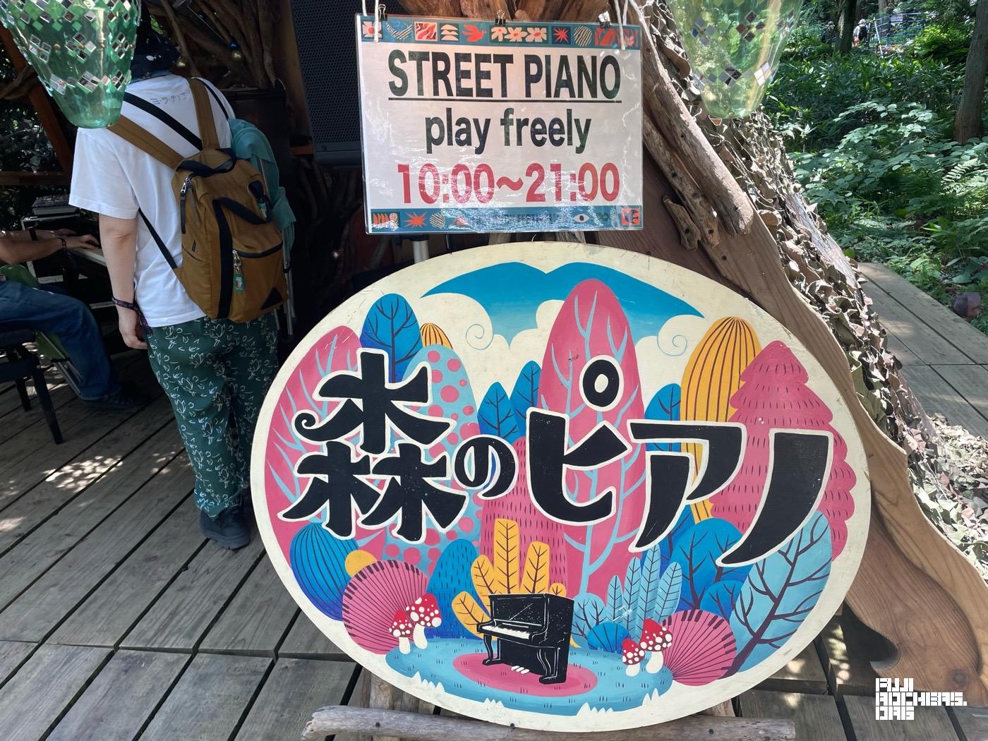 偶然の出会いが嬉しい森のピアノ