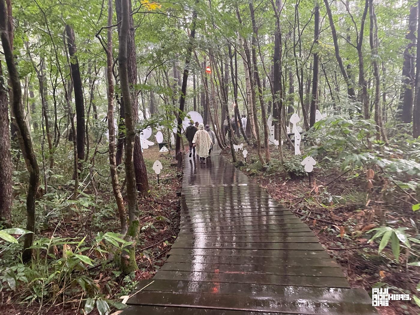 雨上がりのボードウォーク
