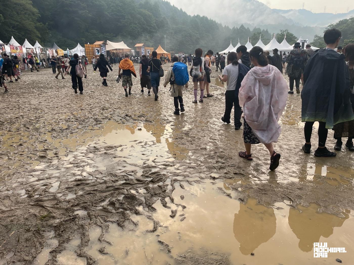 オレンジ名物の田んぼ