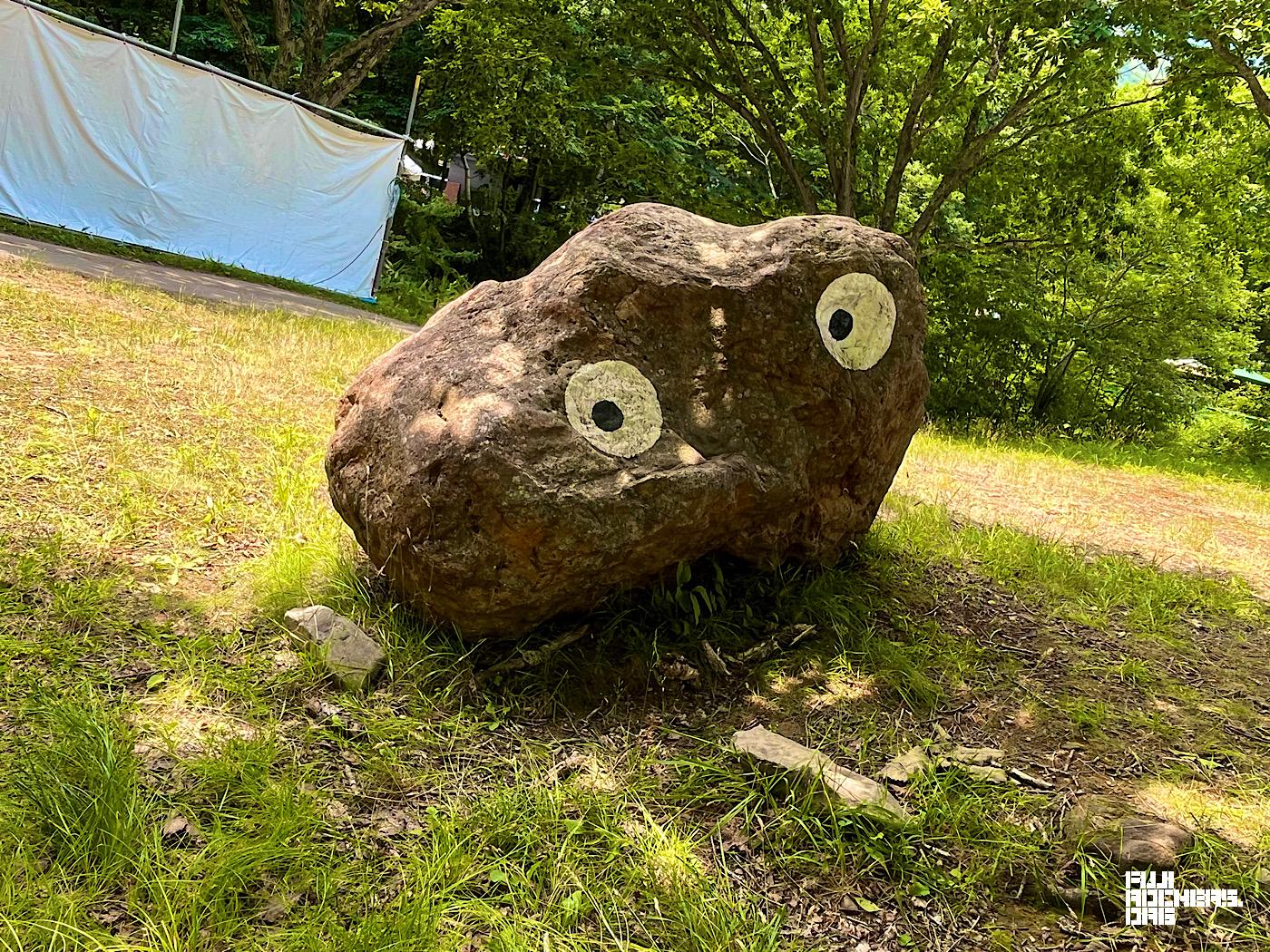 ゴンちゃんただいま！