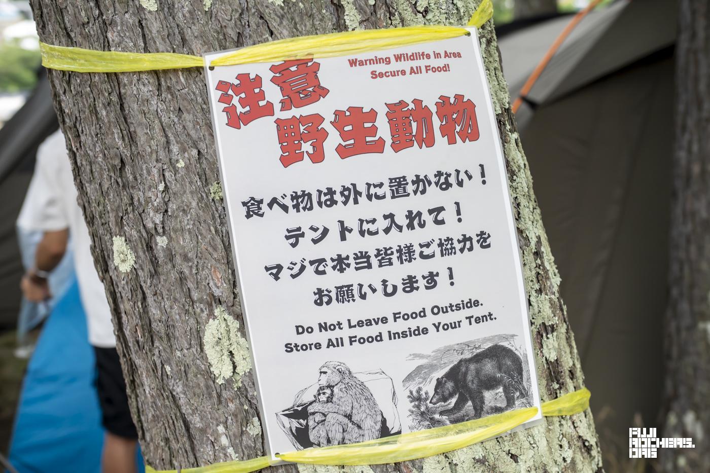 注意！野生生物